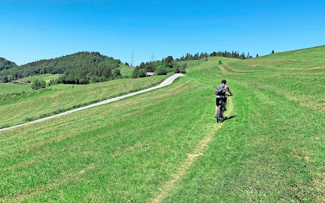 Darf der das? Mountainbiker auf Wiese.