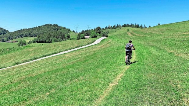 Darf der das? Mountainbiker auf Wiese.