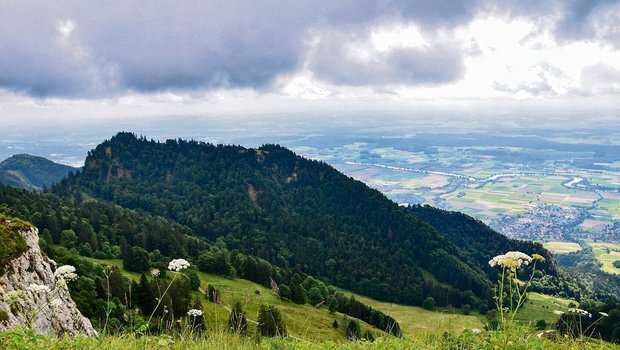 Der Wald hat im Kanton Solothurn stark zugenommen.