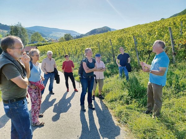 Der Bauernverband Aargau Tauscht Sich Mit Umweltverbänden Aus ...