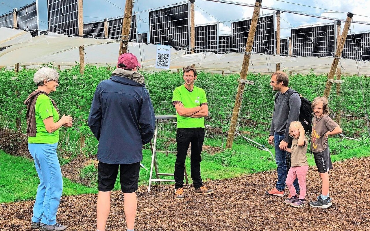 Die PV-Anlage über Himbeeren bei Heinz Schmid in Aesch (m.) anlässlich eines Tages der offenen Tür. 