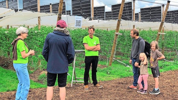 Die PV-Anlage über Himbeeren bei Heinz Schmid in Aesch (m.) anlässlich eines Tages der offenen Tür. 