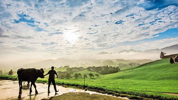 Er beim Vieh und sie im Hofladen: Die Arbeitsteilung ermöglicht es einem Ehepaar, auf die jeweiligen Stärken zu setzen und eigene Ideen selbstständiger umzusetzen.