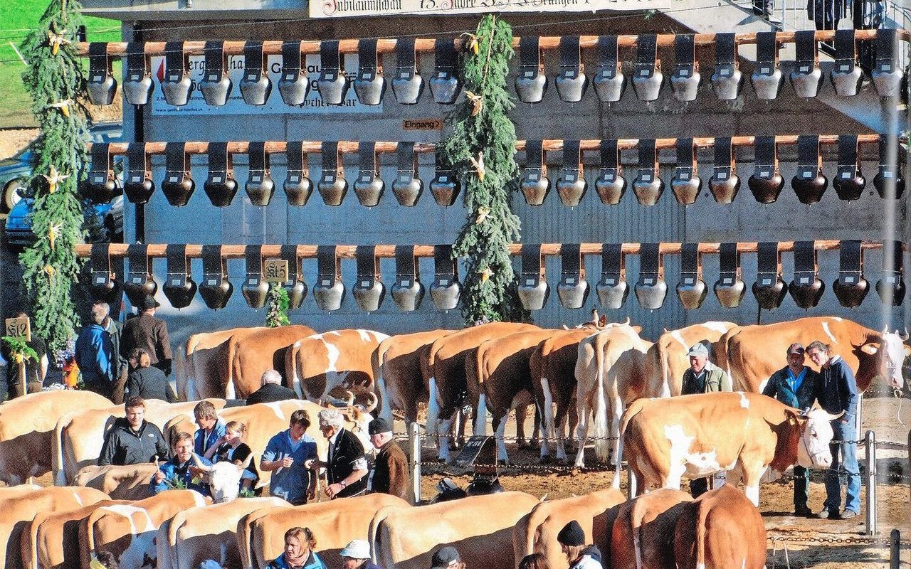 Im Jahr 2011: Jubiläumsschau VZV Frutigen 4. Mit dabei ist Familie Klötzli. 