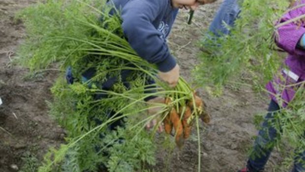 Der Liebegger Tag brachte der Bevölkerung die Landwirtschaft näher. (Bild: LZ Liebegg)