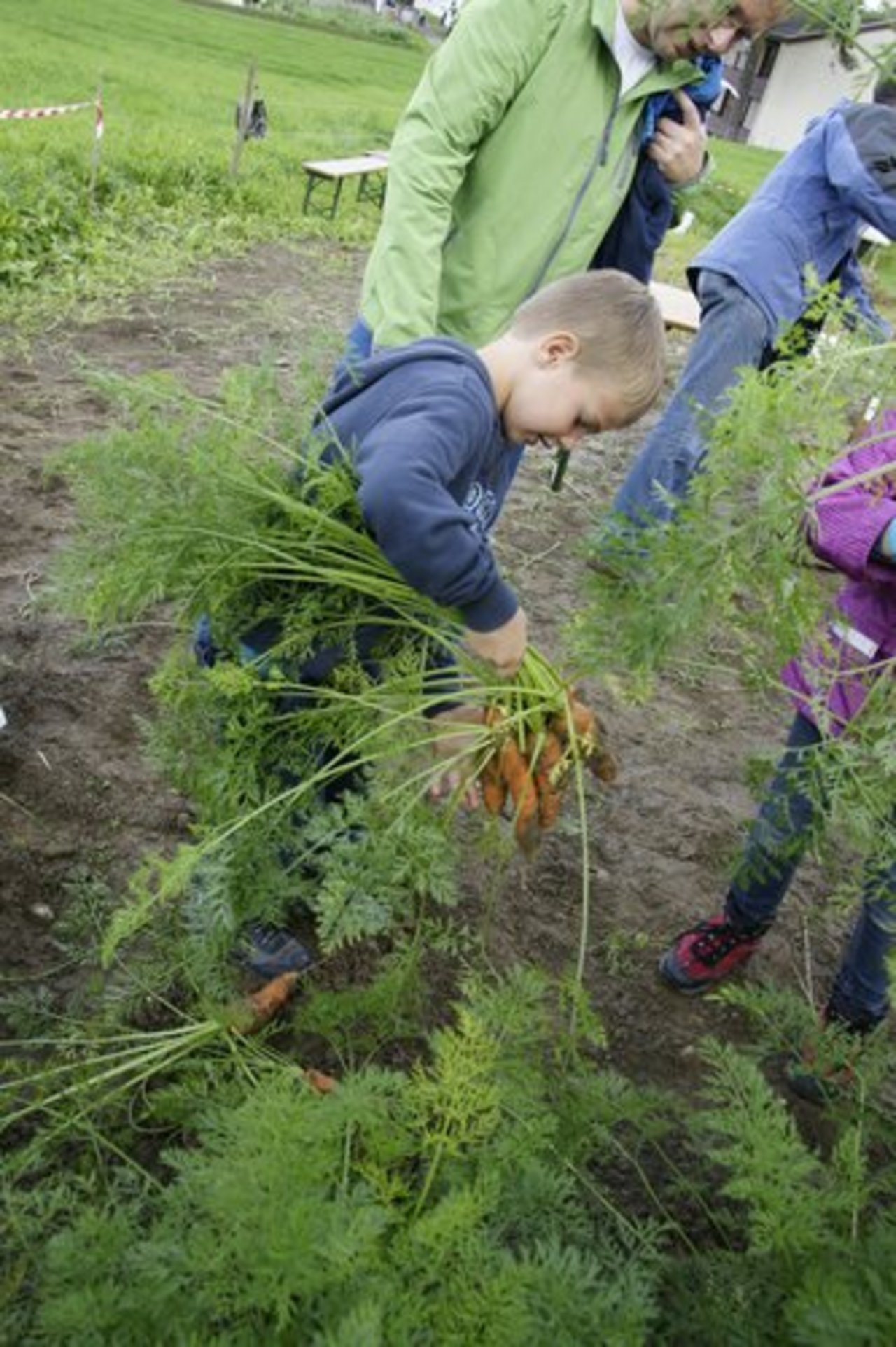 Der Liebegger Tag brachte der Bevölkerung die Landwirtschaft näher. (Bild: LZ Liebegg)