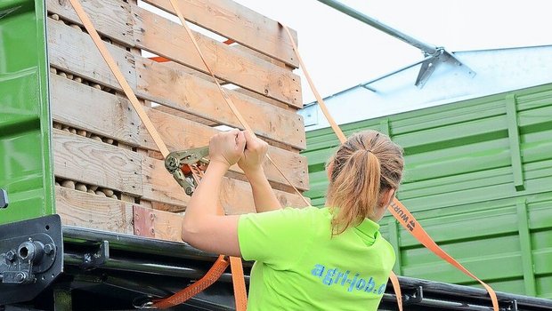 Beim Niederzurren wird die Ladung mit Kraft auf die Ladefläche gepresst, sodass diese nicht verrutschen kann. Sofern die Anhängerwand die Kraft aufnehmen kann, kann hier auch mit dem Formschluss gearbeitet werden.