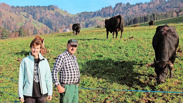 Ursi und Ueli Hüppi aus Rüeterswil und ihre Eringer-Kühe. 2007 fingen sie an, ihre Herde aufzubauen, mittlerweile halten sie 35 Tiere von dieser Rasse. 