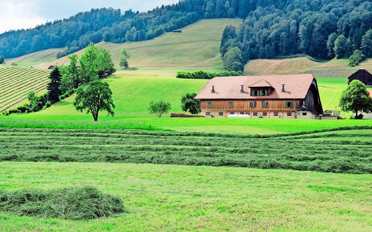 Laut der Untersuchung gibt es keine Hinweise darauf, dass auf Dauergrünland eine Zunahme der Kohlenstoffspeicherung stattfindet.