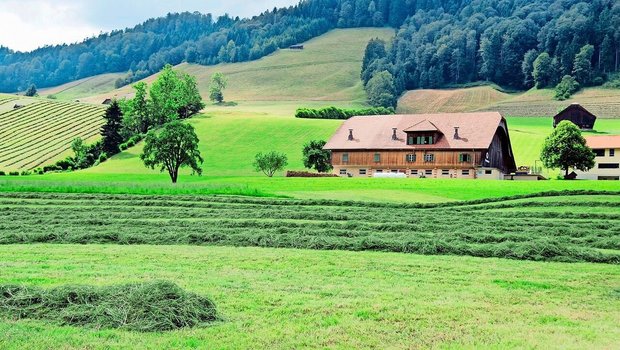 Laut der Untersuchung gibt es keine Hinweise darauf, dass auf Dauergrünland eine Zunahme der Kohlenstoffspeicherung stattfindet.