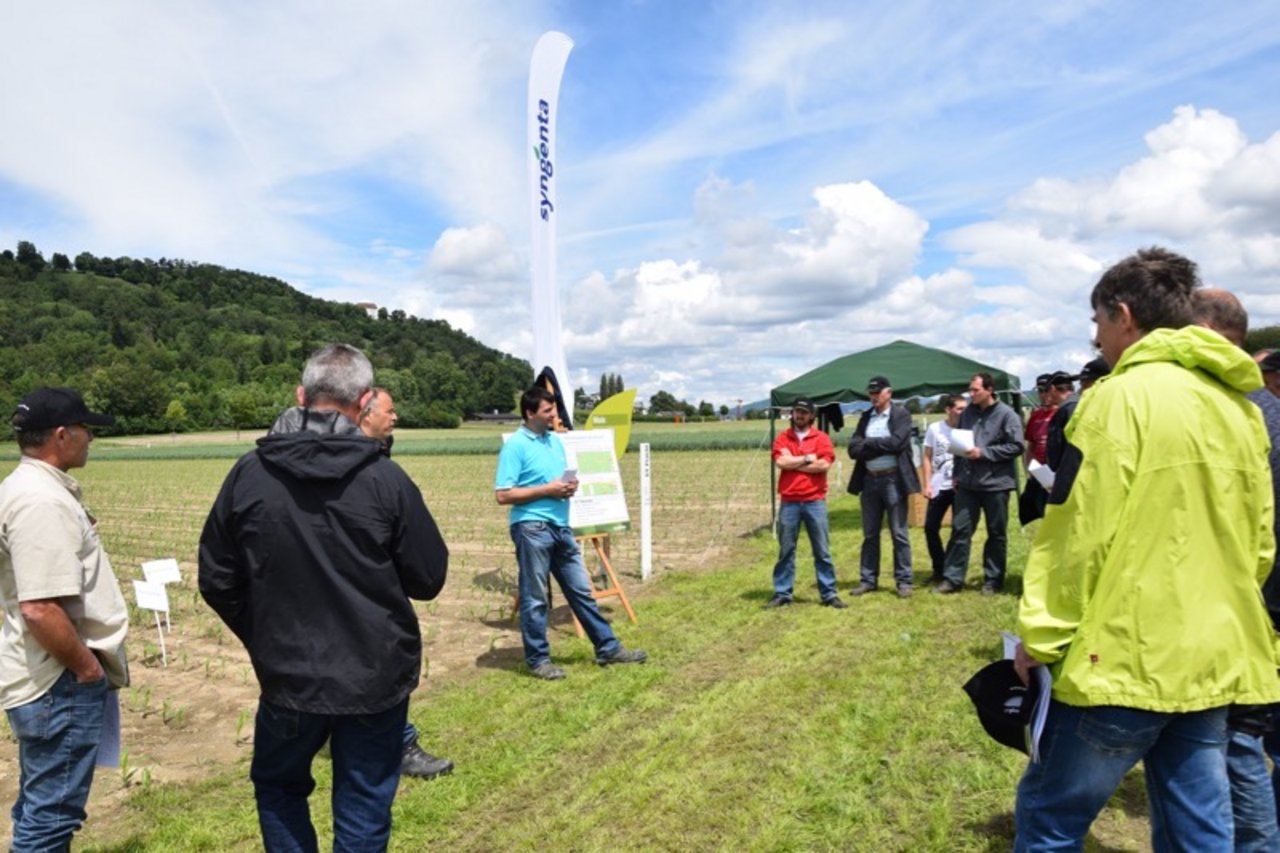 Benno Ineichen erklärt die Vorteile der verschiedenen Maissorten (Bilder jba)