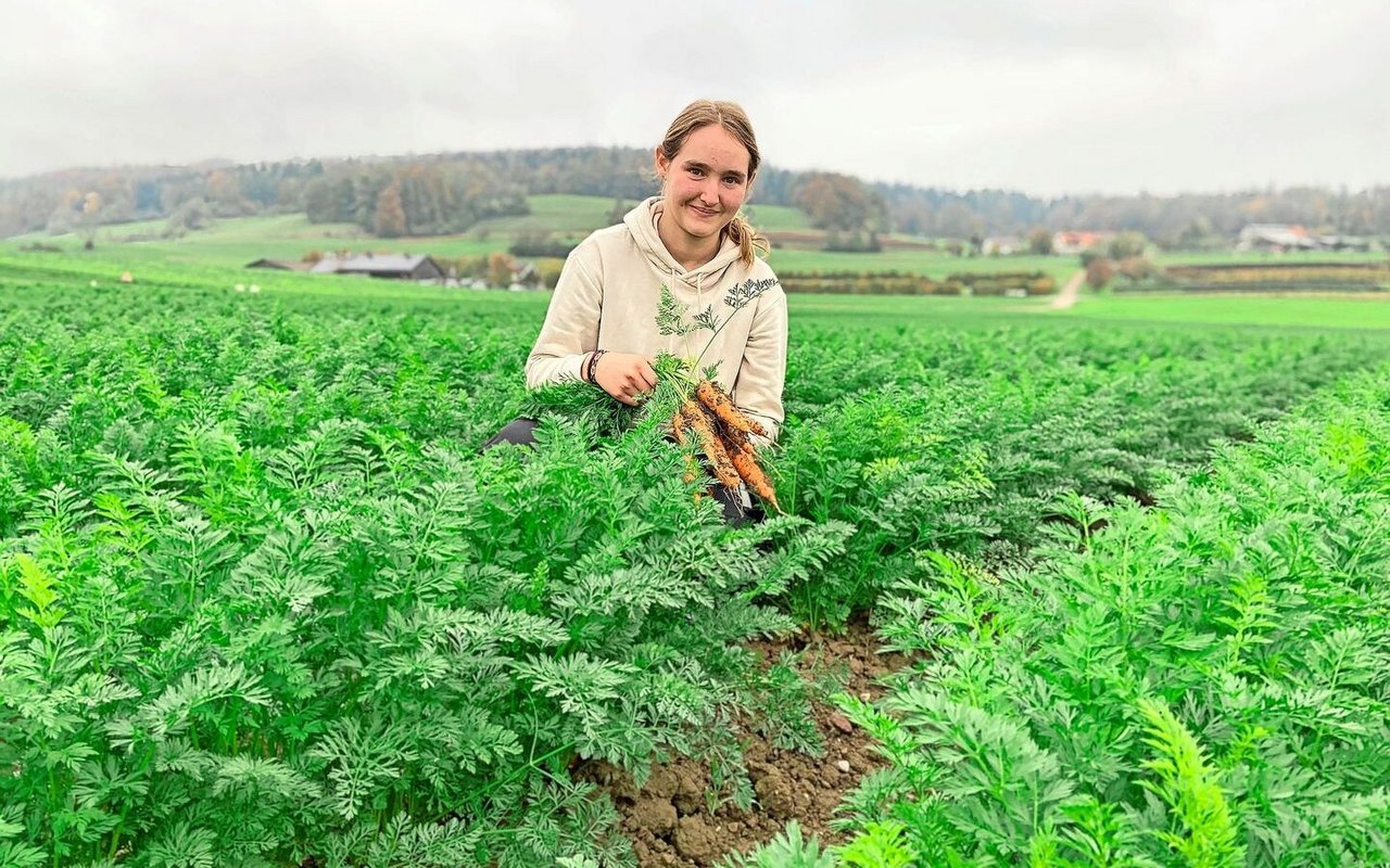 Derzeit geben die Rüebli auf dem Lehrbetrieb von Jasmin Brunner im zürcherischen Sünikon den Takt an. Sie stammt selbst von einem Gemüsebetrieb und ist derzeit im ersten Lehrjahr. 