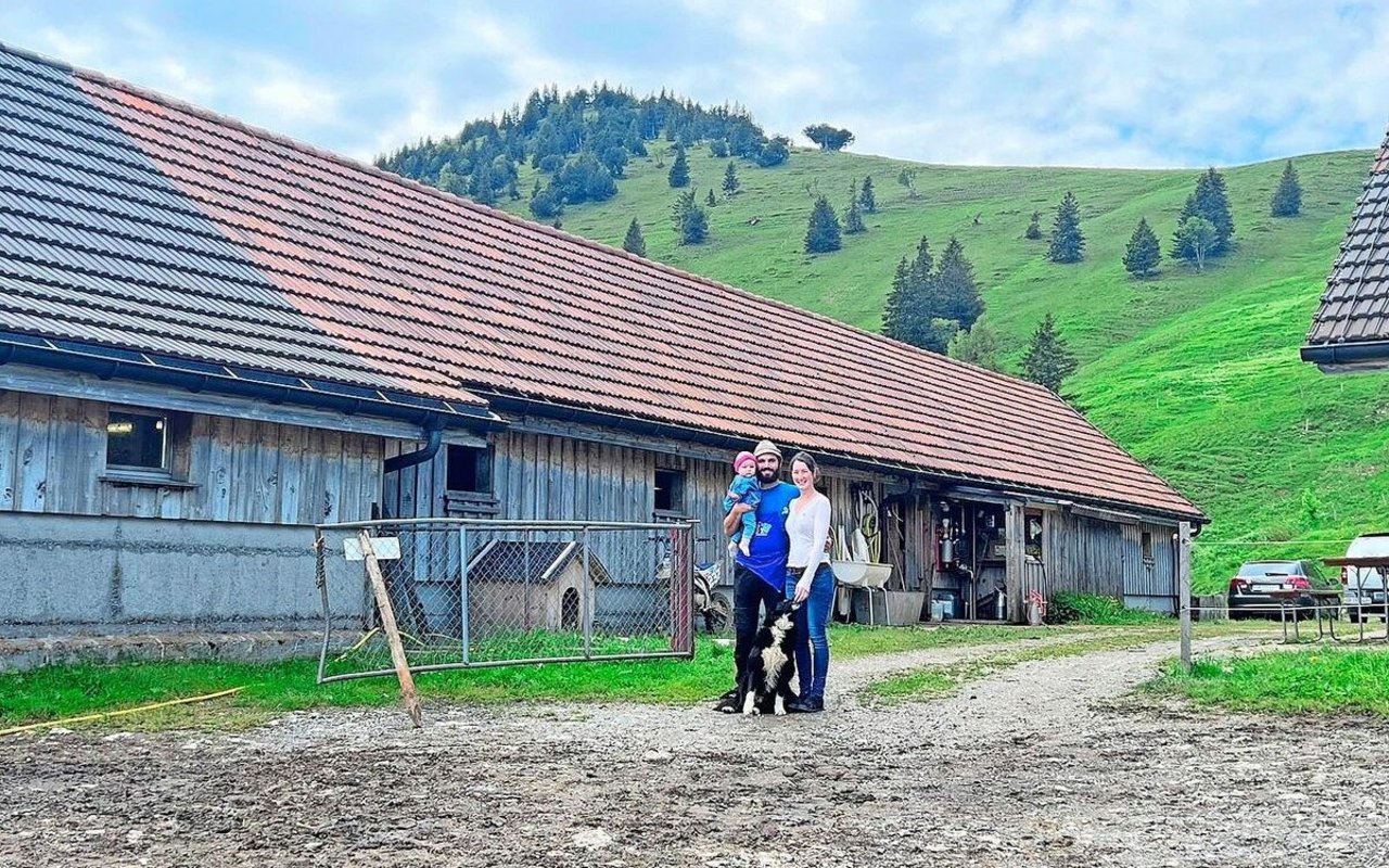 Die Familie Fieg verbringt diesen Sommer mit 54 Melkkühen, 24 Schweinen, 5 Hühnern, einem Hund und einer Katze auf der Alp.