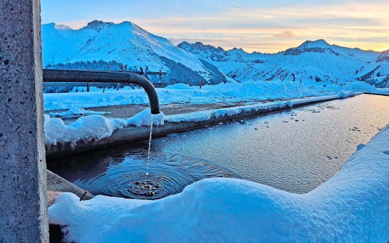 Nächtlicher Kälteeinbruch: Die Wasseroberfläche des Brunnens ist von einer Eisschicht bedeckt.