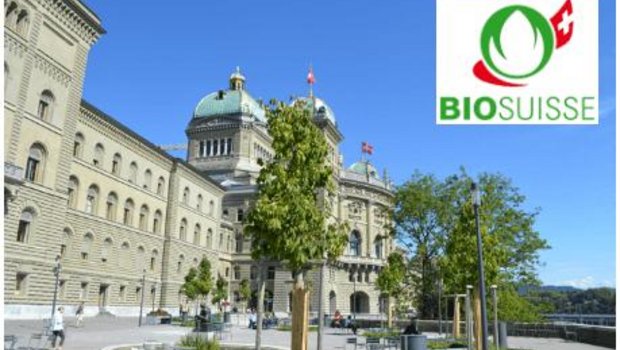 Beim Thema Pflanzenschutz schienen bei Bio Suisse die Meinungen auseinander zu gehen. (Bild jsc) 