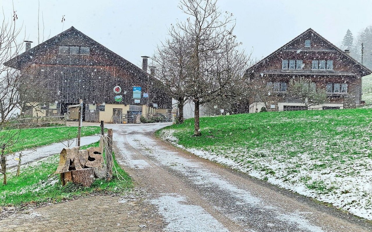 Ein Teil des idyllischen Hofs: Im linken Gebäude befindet sich der Anbindestall. Juds planen dort eine Erweiterung zu einem Laufstall.