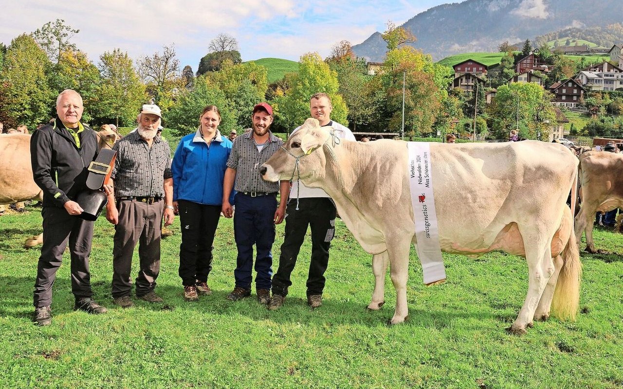 Tagessiegerin BS und Schöneutersiegerin ältere: Braunviehkuh Brawa von Patrick Risi, Buochs, überzeugte.