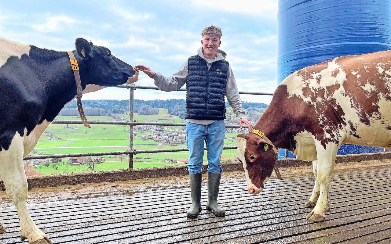 Vorfreude auf die Zentralschweizer Eliteschau: Jungzüchter Levin Gerber im Laufhof hoch über Dagmersellen.