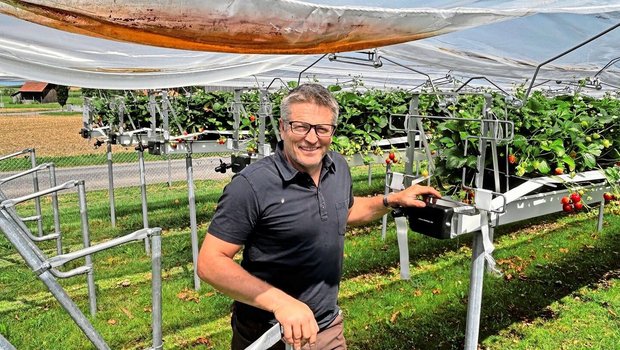 Patrick Stadler ist Betriebsleiter des Versuchsbetriebs in Güttingen. Er steht vor den Erdbeerstellagen, die mit Einzelreihenabdeckungen vor der Witterung geschützt sind.