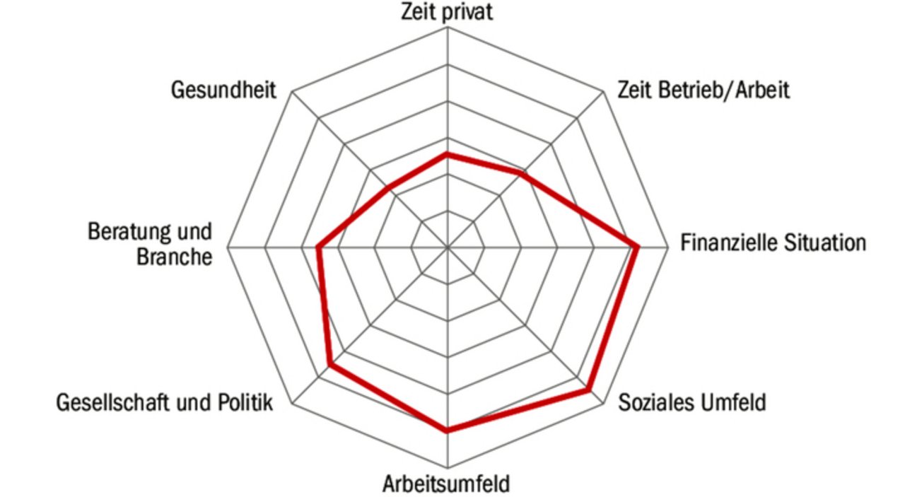 Symbolbild: Die Resultate des Selbstchecks werden in Form eines Spinnendiagramms dargestellt.