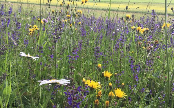 Grenzschutz Und Versorgungssicherheitsbeiträge Wegen Biodiversität Im ...