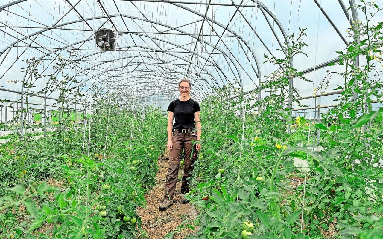 Neben dem Ackerbau und der Milchproduktion werden auf dem Bauernhof Klötzli diverse Gemüsesorten angebaut. 