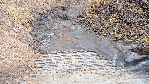 Das Gaspotenzial unterscheidet sich je nach Mistart: Aus Geflügelmist gibt es mehr. Bei Gülle ist viel Wasser dabei, das ein grösseres Volumen beansprucht. 