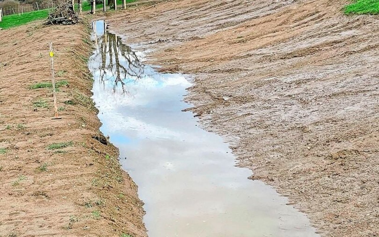 Die neuen Gräben schützten diesen Frühling bereits ein erstes Mal vor Erosionsschäden.