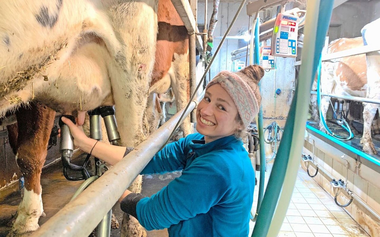 Lieber im Stall Kühe melken, als auf Maschinen Wiesen mähen: Daniela Köpfli bei der Lieblingsarbeit im Melkstand auf der Schwand. 