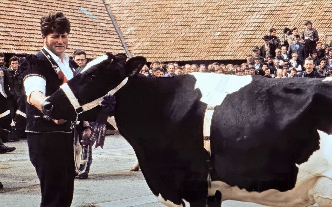 Der bekannte Züchter Oscar Dupasquier wanderte 1982 nach Kanada aus. Hier sieht man ihn an seiner Versteigerung in Bulle.