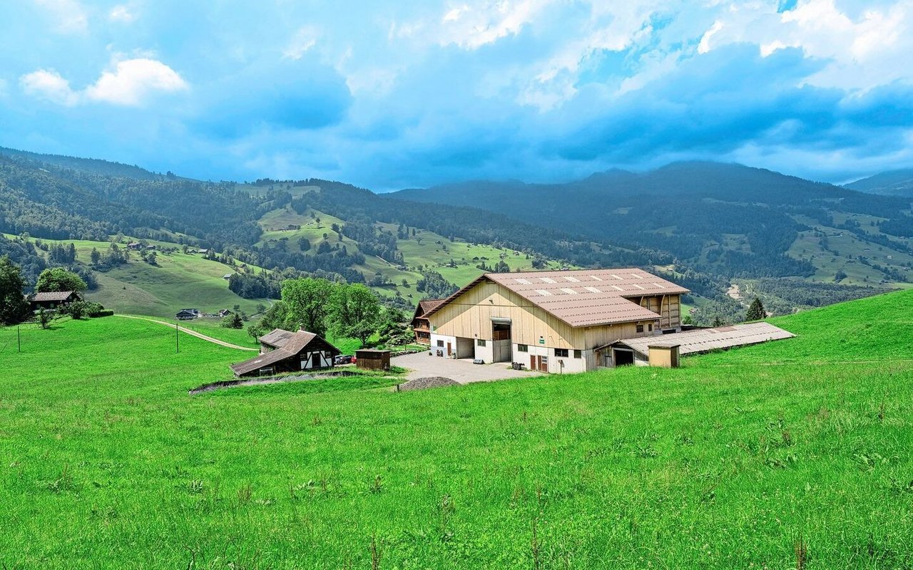 Oberhalb von Giswil liegt der Biohof Emmetti auf rund 700 m ü. M. Da befindet sich auch die Produktion der hofeigenen «Buirähof-Glace».