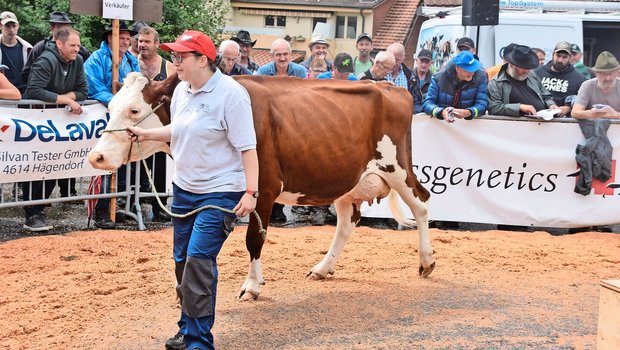 Sie stand mit 40 kg Milch auf dem Platz: Die SF-Kuh Bader’s Florino Mira ging im Ring für 3350 Franken weg. 