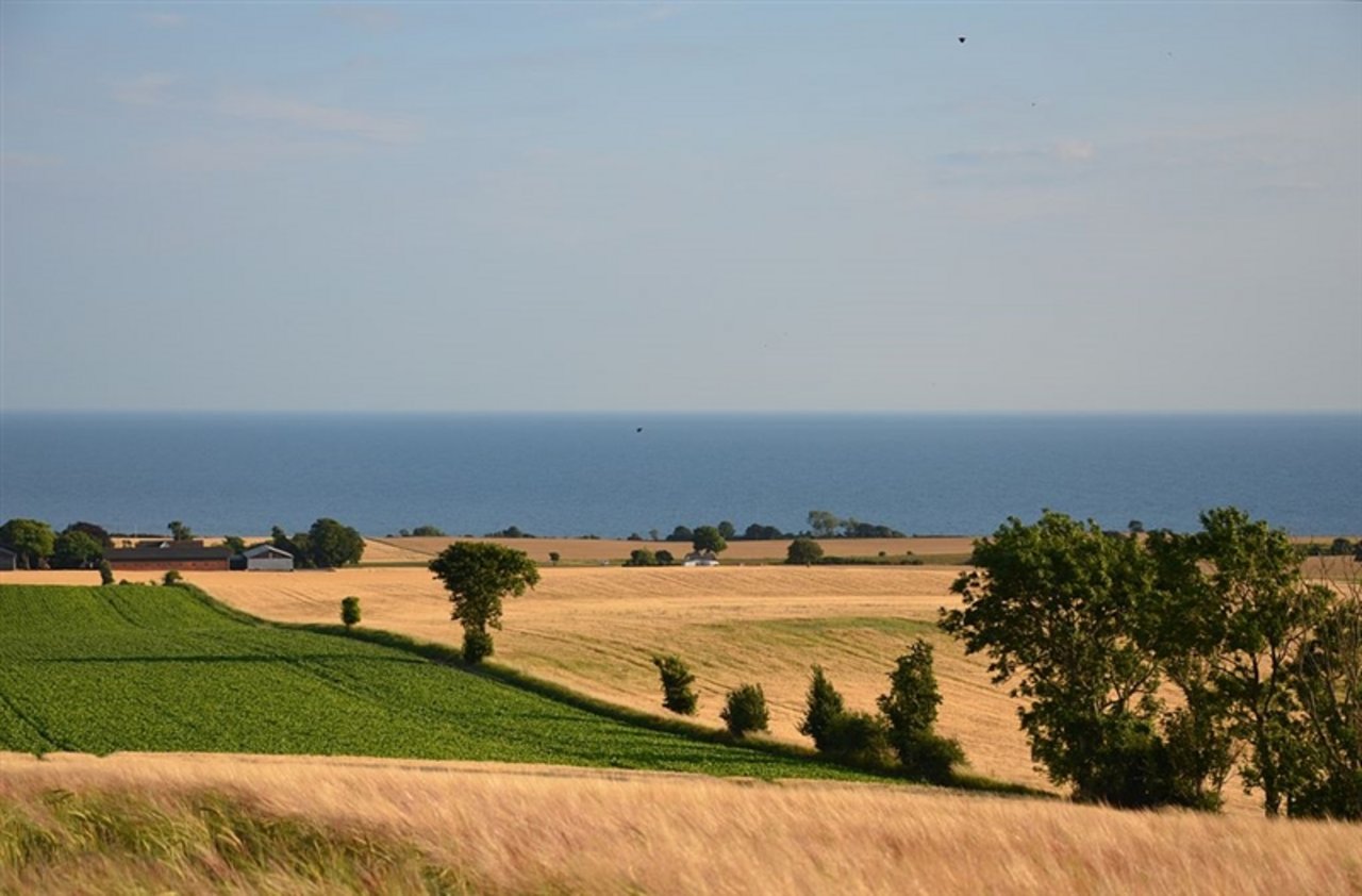 Idyllische dänische Landschaft: Für viele Bauern sieht die Zukunft aber nicht rosig aus. (Bild rene.kernen) 