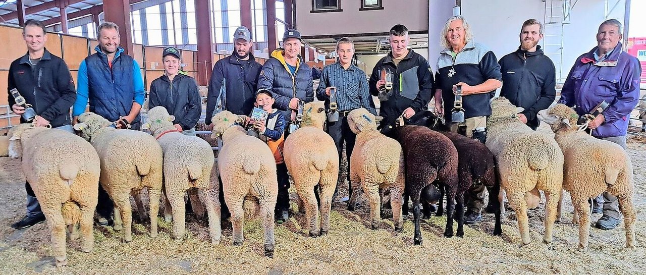 Die herrlichen Missen und Mister der Rassen Weisses Alpenschaf, Braunköpfiges Fleischschaf, Schwarzbraunes Bergschaf und Ile-de-France-Schaf in Reih und Glied.