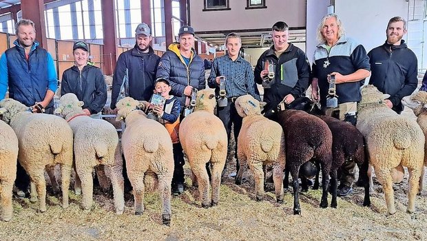 Die herrlichen Missen und Mister der Rassen Weisses Alpenschaf, Braunköpfiges Fleischschaf, Schwarzbraunes Bergschaf und Ile-de-France-Schaf in Reih und Glied.