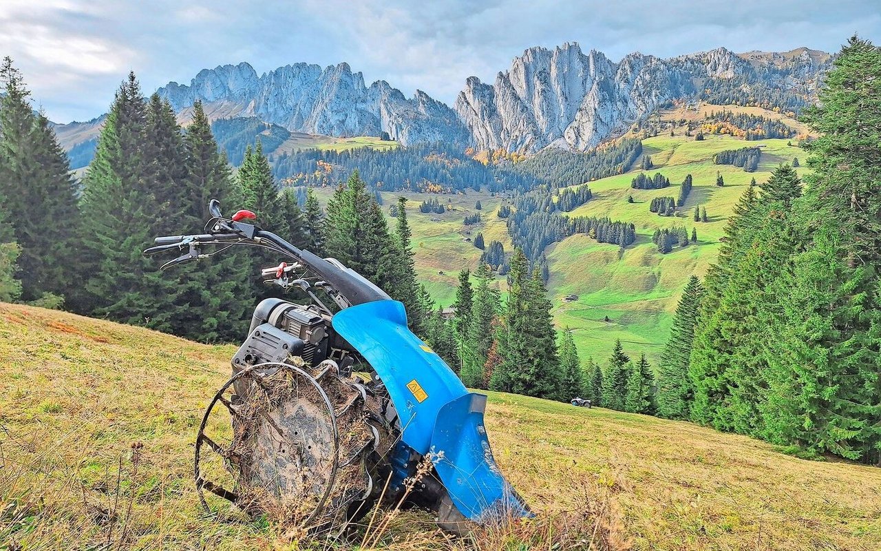 Bei gutem Wetter und mit so einer schönen Aussicht macht das Mähen Jolanda Wyttenbach Spass.