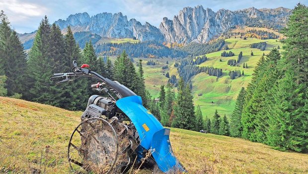 Bei gutem Wetter und mit so einer schönen Aussicht macht das Mähen Jolanda Wyttenbach Spass.