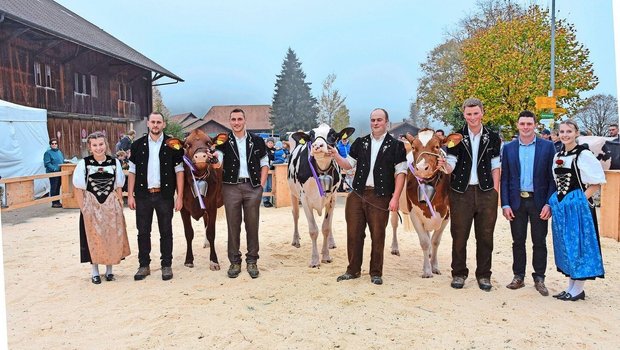 Die Champion-Wahl der älteren Kühe; SF/SI: Gulliver Meggitt, Beat Dürrenmatt; RH/HO: Underwood Chief Noemie, Familie Binggeli; Schöneuter: Studema’s Odyssey Ramona, Ueli Staudenmann (v. l. n. r.). 