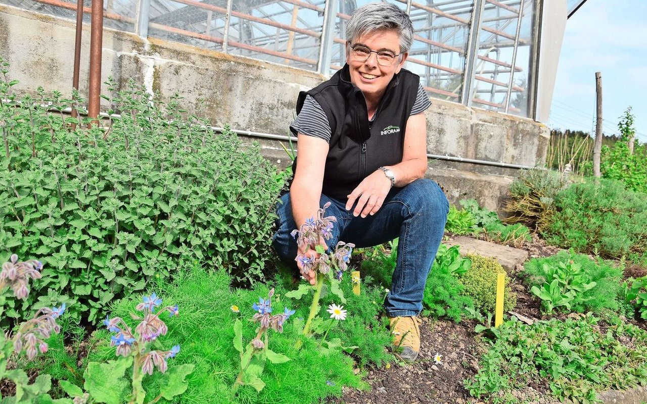 Esther Pensa bekämpft unerwünschte Neophyten in ihrem Garten und setzt dafür auf viele Kräuter.