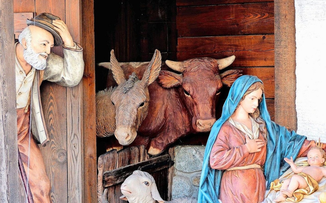 Für Bauernfamilien ein vertrautes Bild: Ochs und Esel im Stall bei der Weihnachtskrippe. 