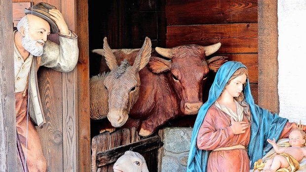 Für Bauernfamilien ein vertrautes Bild: Ochs und Esel im Stall bei der Weihnachtskrippe. 