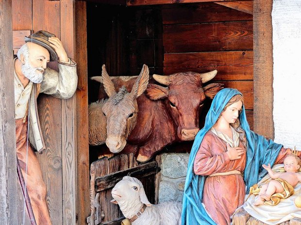 Für Bauernfamilien ein vertrautes Bild: Ochs und Esel im Stall bei der Weihnachtskrippe. 