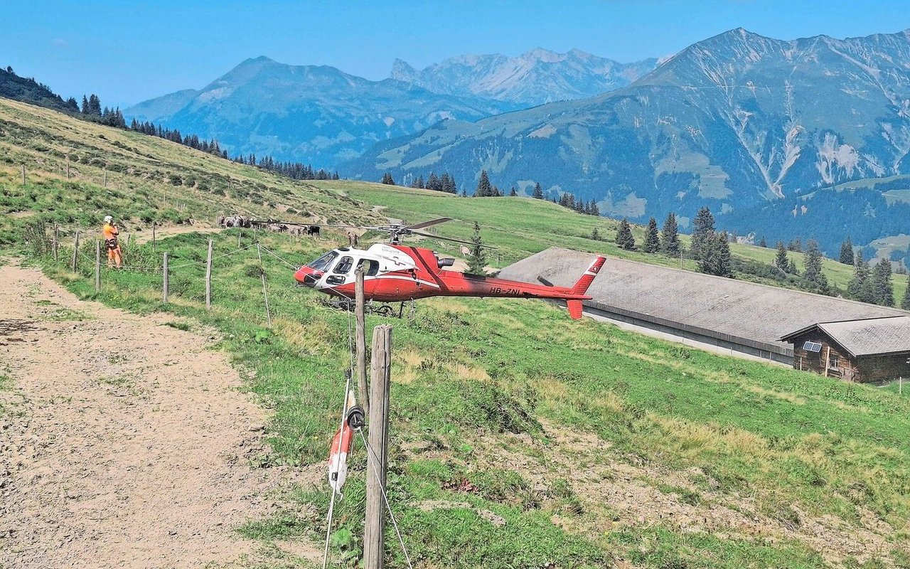 Kurz vor der Bergung von Kuh Flurin landet der Helikopter in der Nähe der Alpgebäude.