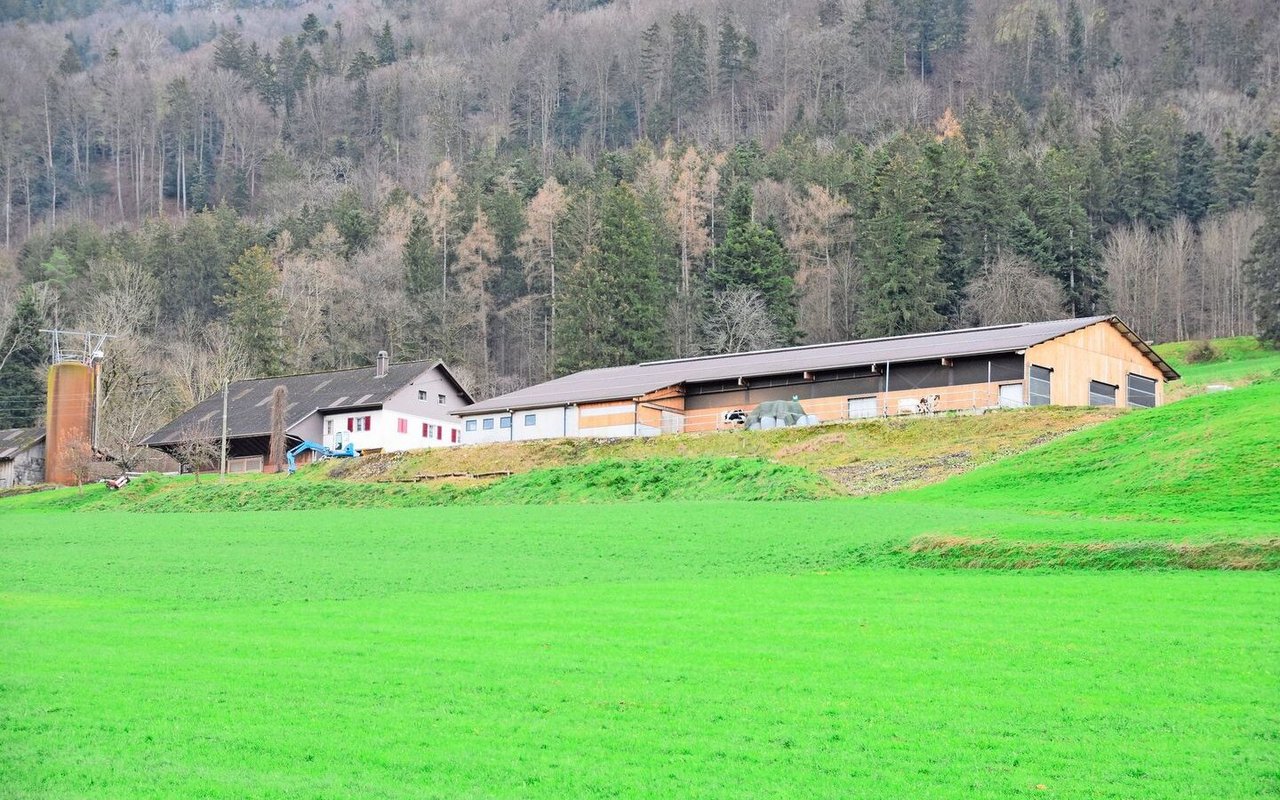 Der schöne Laufstall passt sich perfekt ins Gelände ein. Er ist 43 Meter lang und 27 Meter breit. Beim Bau wurde Wert auf viel Holz gelegt. 