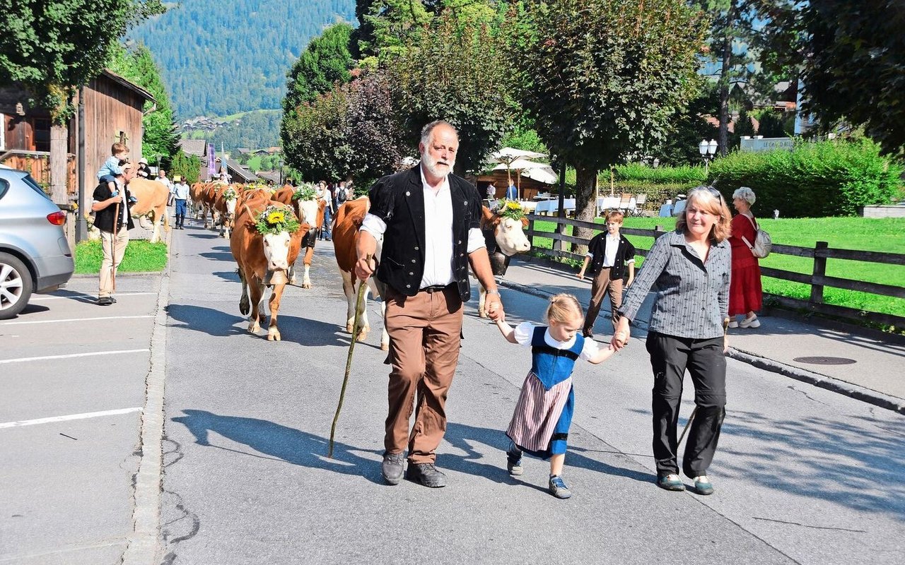 Die schöne Züglete von der Alp Satteleggli von Familie Ernst Reichenbach aus Gruben BE. Die Kühe liessen sich nicht aus der Ruhe bringen.