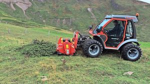 Mit einem Metrac-Mulcher wurden mosaikartig Fahrgassen in die dicht geschlossene Zwergstrauchheide gefräst.