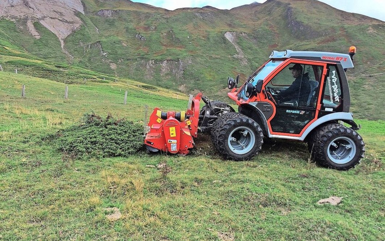 Mit einem Metrac-Mulcher wurden mosaikartig Fahrgassen in die dicht geschlossene Zwergstrauchheide gefräst.