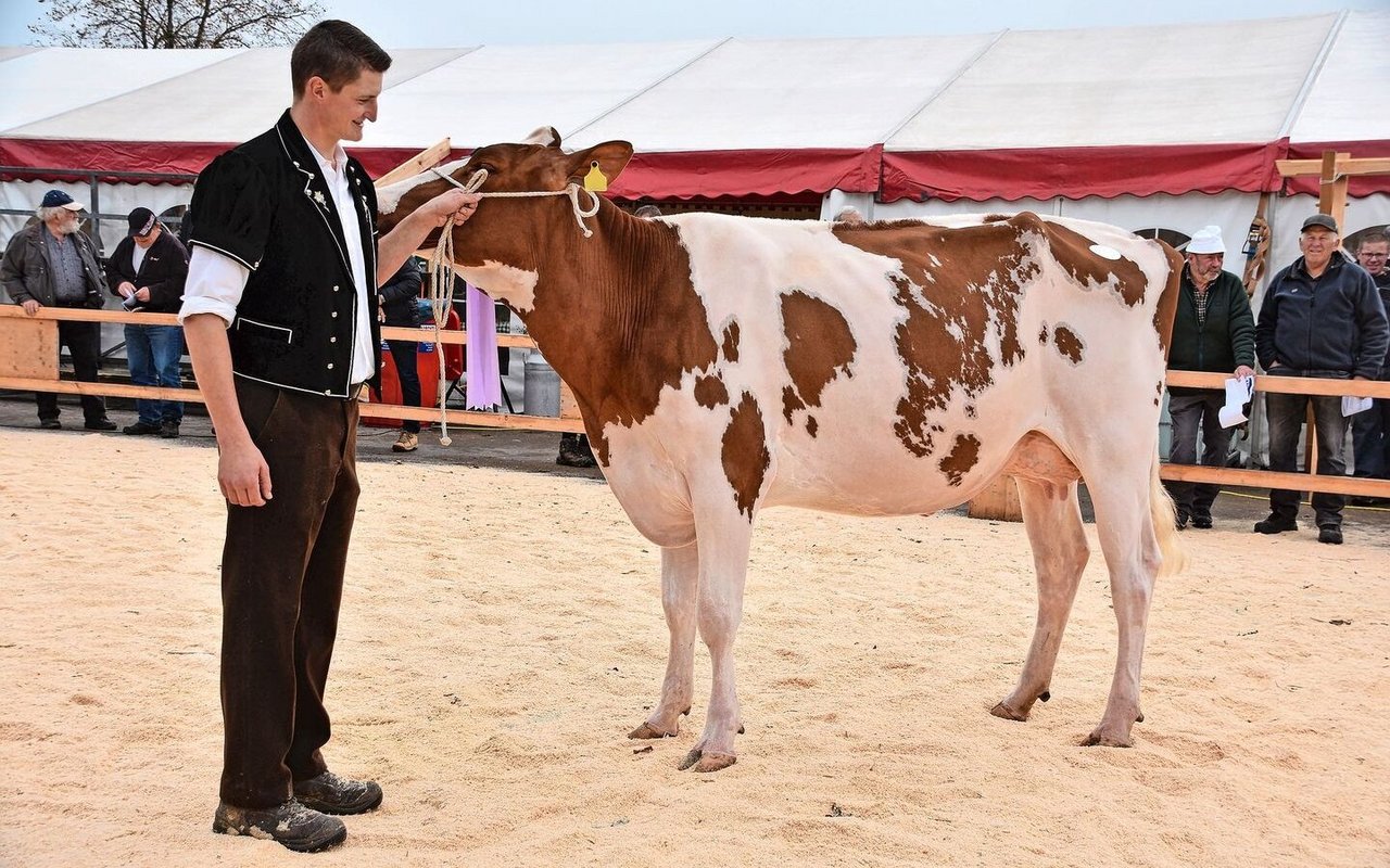 Junior-Schöneuter wurde Jouxvey Sunny Tamaris von Hans-Peter Bigler aus Mamishaus. 