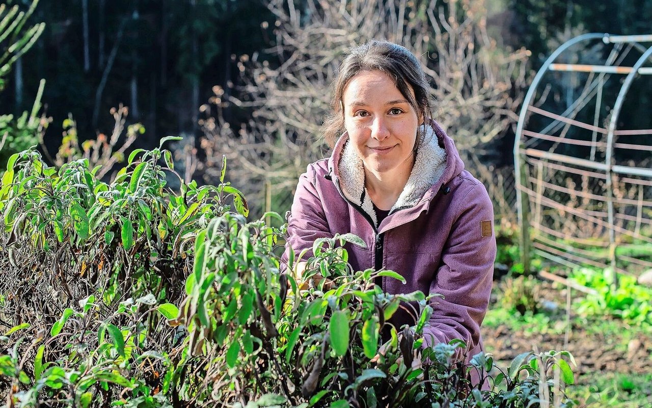 Die Räucherkräuter hat Tamara Widmer aus ihrem Garten.