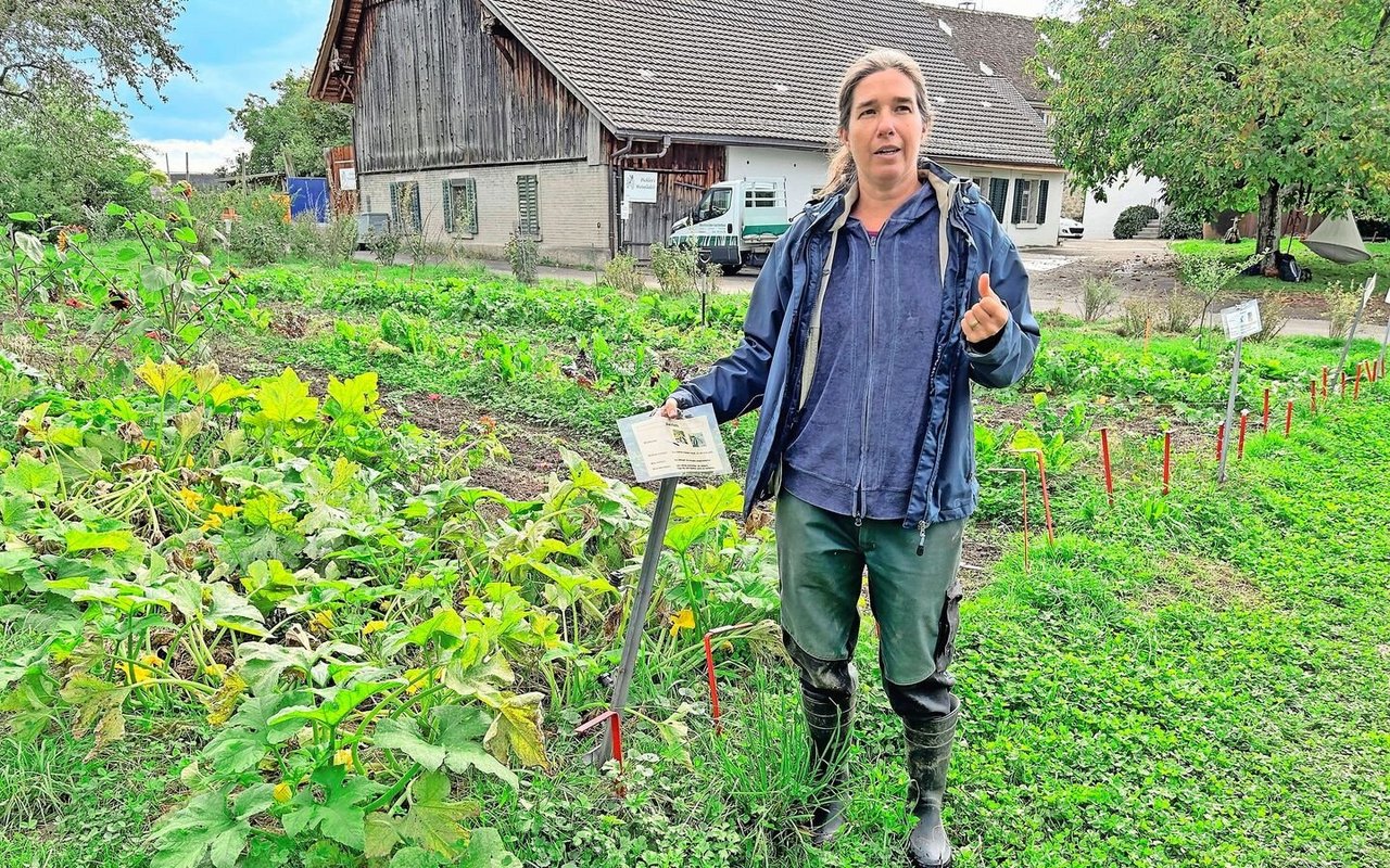 Jeannine von Puijenbroek steht vor dem Zucchettibeet. Neben ihr auf einem Holzpflock die Beetbeschriftung für die Mitglieder.